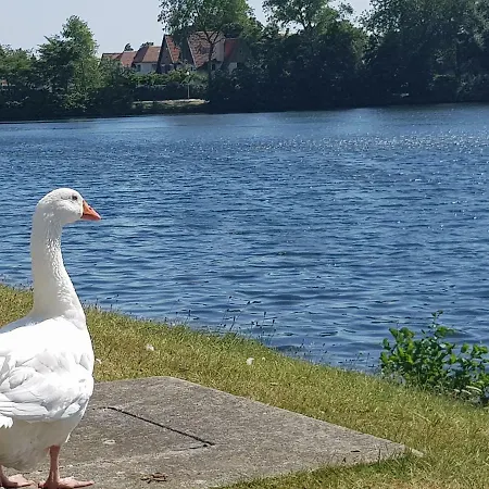 Lägenhet Duinbergen Laguna
